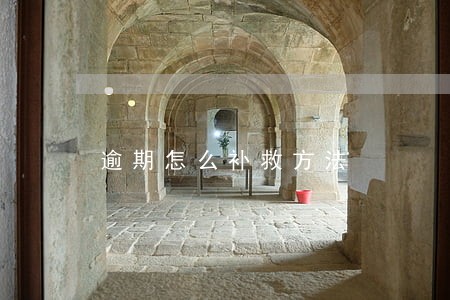 逾期怎么补救方法 逾期怎么补救方法