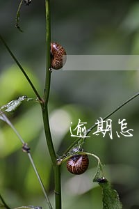 逾期怎么被停储蓄卡 逾期怎么被停储蓄卡