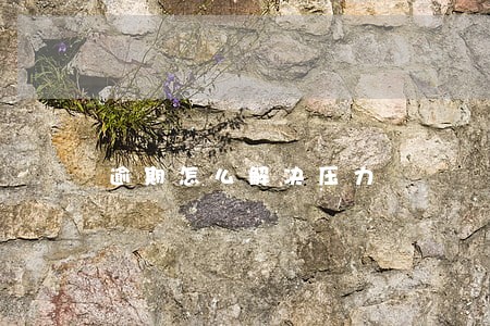逾期怎么解决压力 逾期怎么解决压力