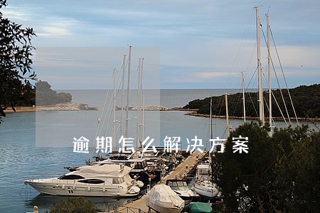 逾期怎么解决方案 逾期怎么解决方案