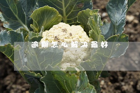 逾期怎么解决最好 逾期怎么解决最好