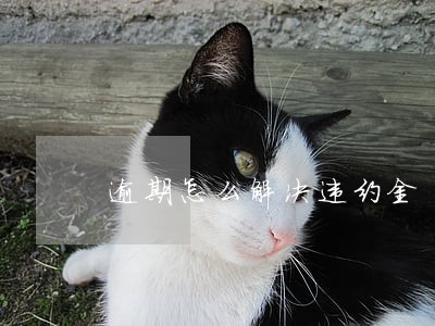 逾期怎么解决违约金 逾期怎么解决违约金