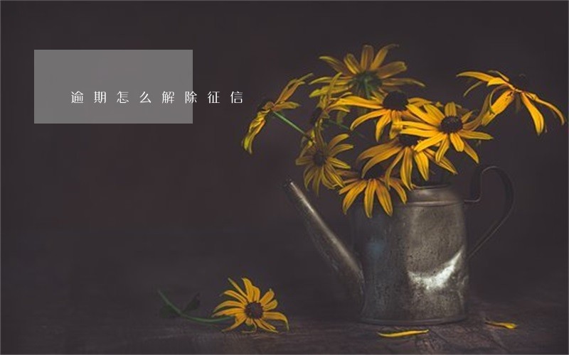 逾期怎么解除征信 逾期怎么解除征信