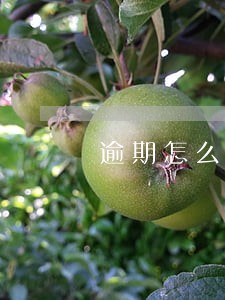 逾期怎么计算的 逾期怎么计算的