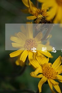 逾期怎么货款 逾期怎么货款