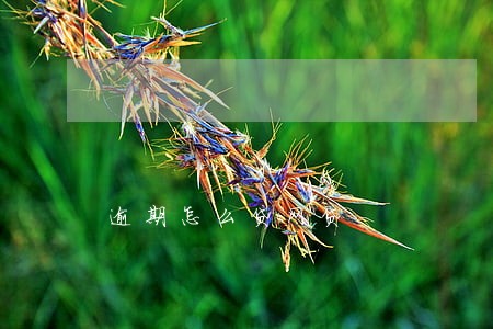 逾期怎么贷网贷 逾期怎么贷网贷