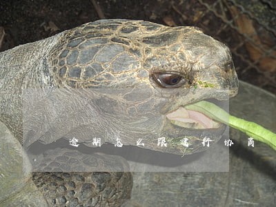 逾期怎么跟建行协商 逾期怎么跟建行协商