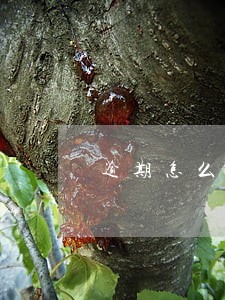 逾期怎么跟朋友说 逾期怎么跟朋友说