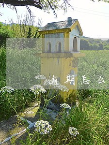 逾期怎么防止对方打电话给家人 逾期怎么防止对方打电话给家人