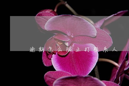 逾期怎么阻止打联系人