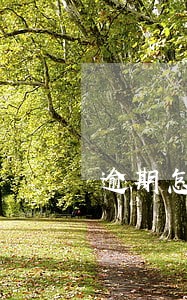 逾期怎么限制消费