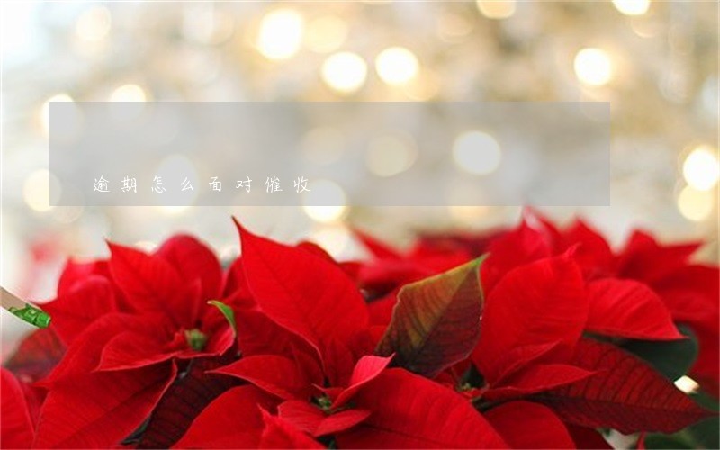 逾期怎么面对催收 逾期怎么面对催收