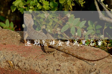 逾期怎样会变成黑名单 逾期怎样会变成黑名单