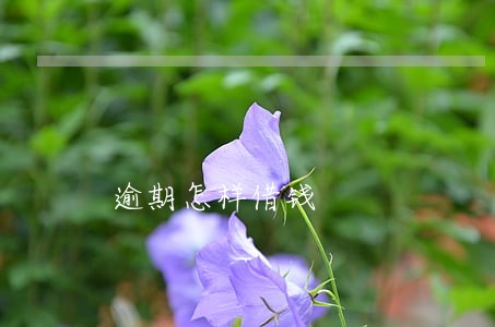 逾期怎样借钱 逾期怎样借钱