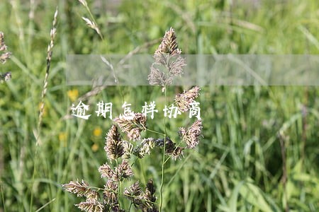 逾期怎样协商 逾期怎样协商