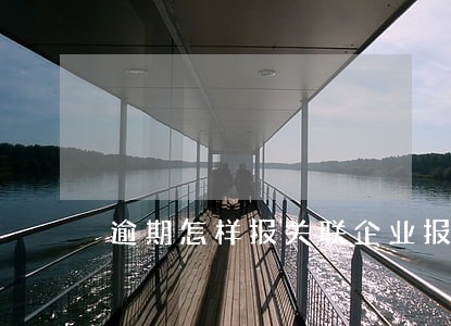 逾期怎样报关联企业报表 逾期怎样报关联企业报表