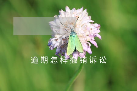 逾期怎样撤销诉讼 逾期怎样撤销诉讼