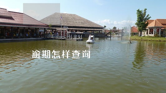 逾期怎样查询 逾期怎样查询