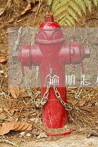 逾期怎样消除 逾期怎样消除