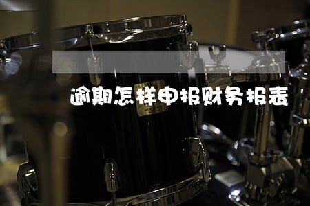 逾期怎样申报财务报表 逾期怎样申报财务报表