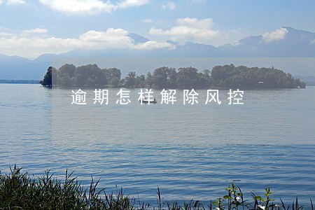 逾期怎样解除风控 逾期怎样解除风控