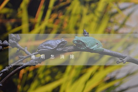 逾期怎消除 逾期怎消除
