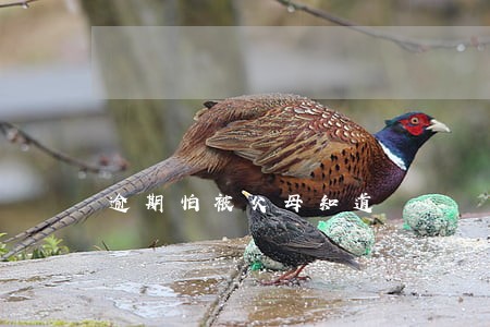 逾期怕被父母知道 逾期怕被父母知道