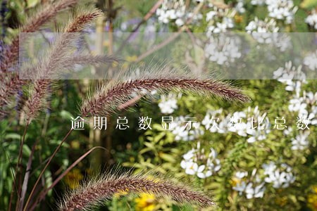 逾期总数显示次数比总数多 逾期总数显示次数比总数多