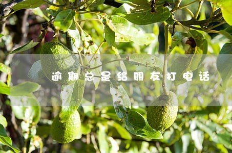 逾期总是给朋友打电话 逾期总是给朋友打电话