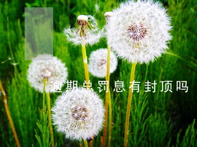 逾期总罚息有封顶吗