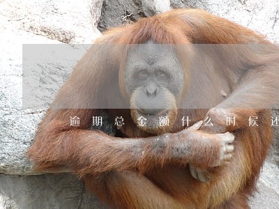 逾期总金额什么时候还