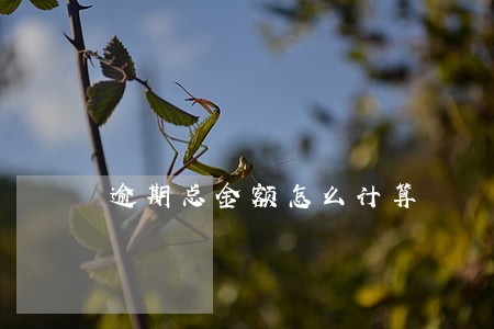 逾期总金额怎么计算 逾期总金额怎么计算