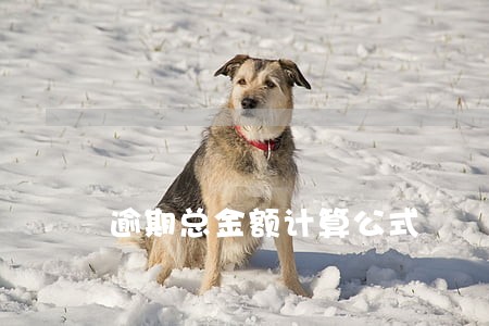 逾期总金额计算公式
