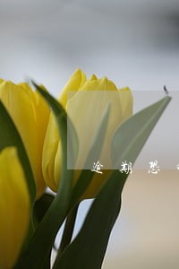 逾期恐吓短信