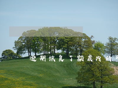 逾期恢复了额度内的可以贷出来吗 逾期恢复了额度内的可以贷出来吗