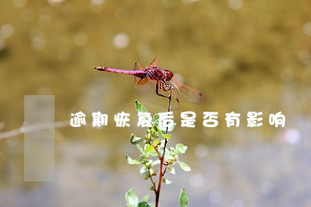 逾期恢复后是否有影响 逾期恢复后是否有影响