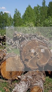 逾期恢复驾驶资格后能上高速吗 逾期恢复驾驶资格后能上高速吗