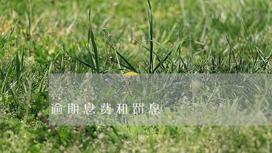 逾期息费和罚息 逾期息费和罚息