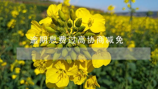 逾期息费过高协商减免