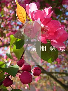 逾期恶意不通知本人 逾期恶意不通知本人
