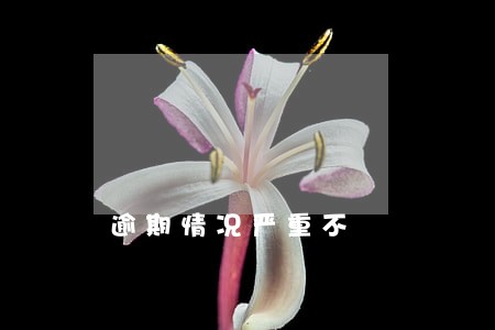 逾期情况严重不