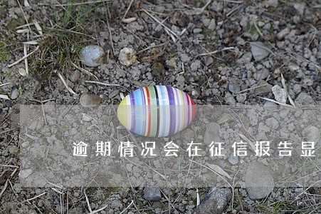 逾期情况会在征信报告显示吗 逾期情况会在征信报告显示吗