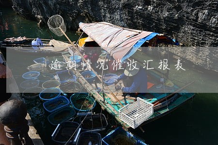 逾期情况催收汇报表 逾期情况催收汇报表