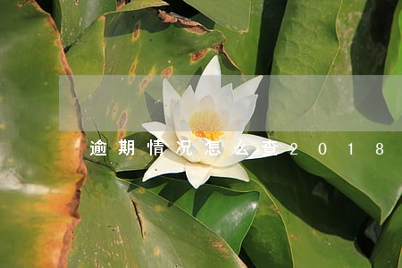 逾期情况怎么查2018