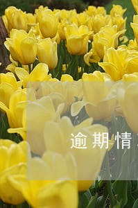 逾期情况的说明怎么写 逾期情况的说明怎么写