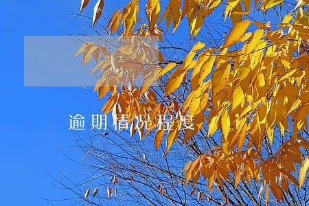 逾期情况程度 逾期情况程度