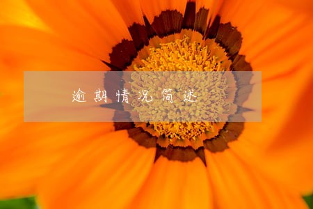 逾期情况简述