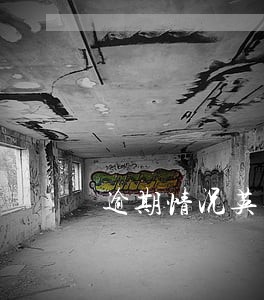 逾期情况英文