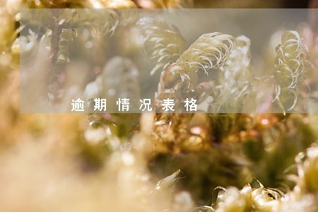 逾期情况表格 逾期情况表格