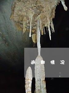 逾期情况认识态度 逾期情况认识态度